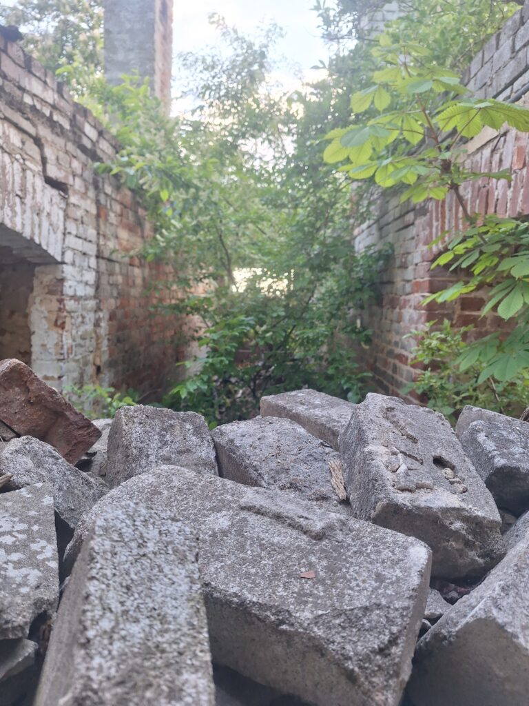 Opuszczony dom zagrożony zawaleniem, Ostrowiec Świętokrzyski, województwo świętokrzyskie - zdjęcie 2