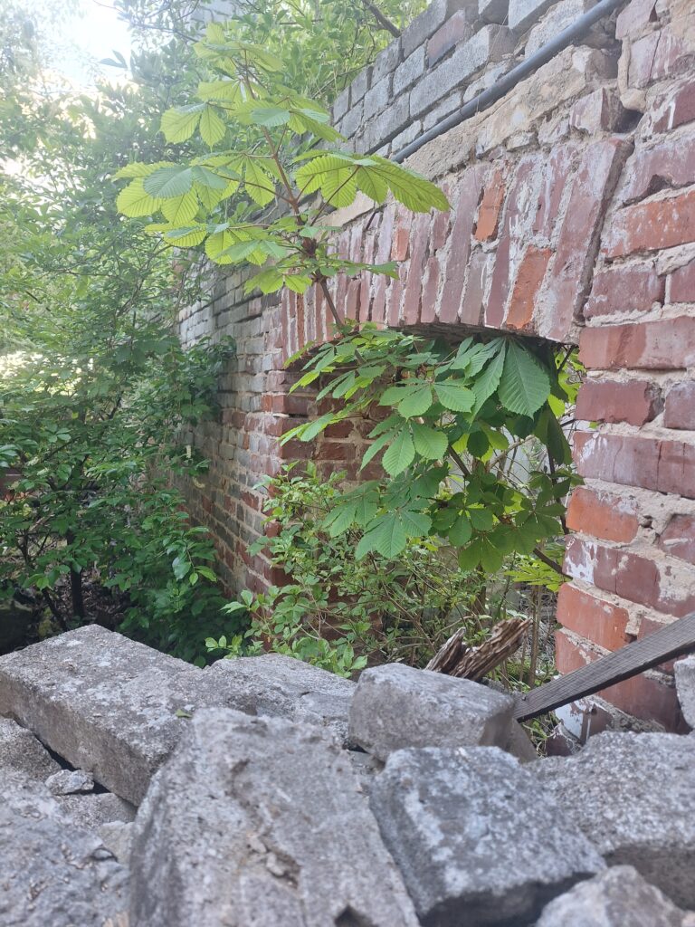 Opuszczony dom zagrożony zawaleniem, Ostrowiec Świętokrzyski, województwo świętokrzyskie - zdjęcie 4