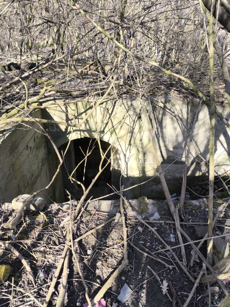 Dwa domy, chlew i bunkier, Brzezinka, województwo małopolskie - zdjęcie 3