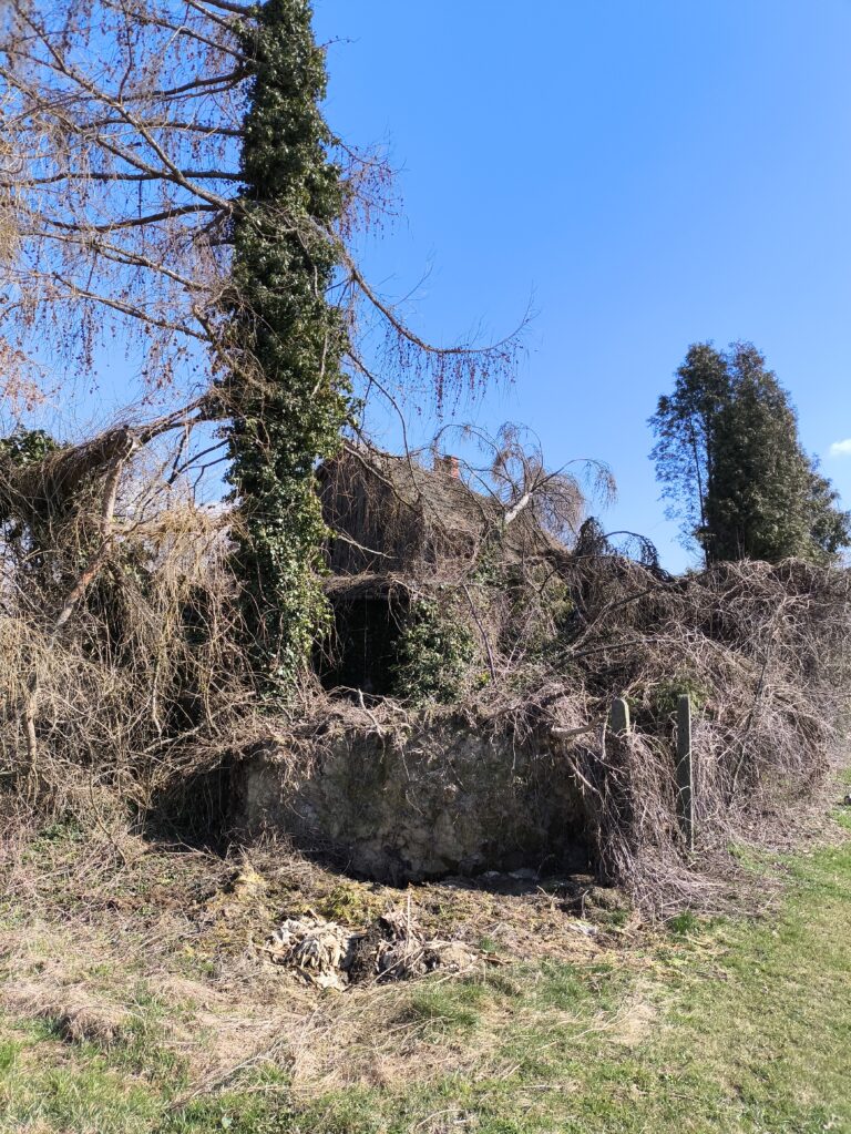Opuszczony dom, Dankowice, województwo śląskie - zdjęcie 1