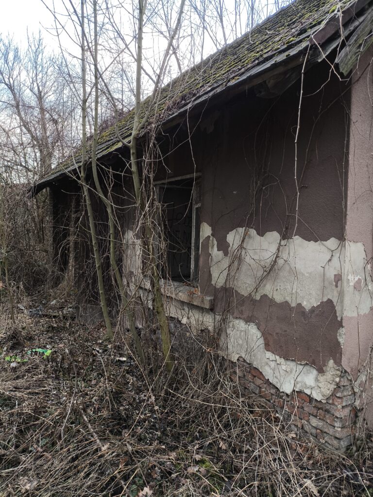 Opuszczone domy, Bielsko-Biała, województwo śląskie - zdjęcie 2
