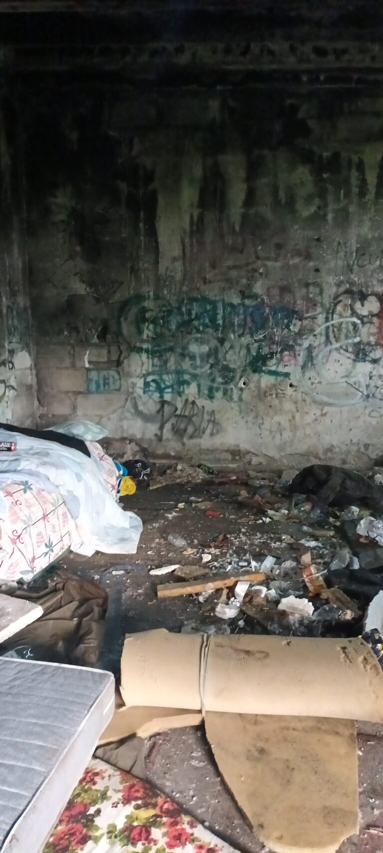 Opuszczony domek, Gdynia, województwo pomorskie - zdjęcie 2