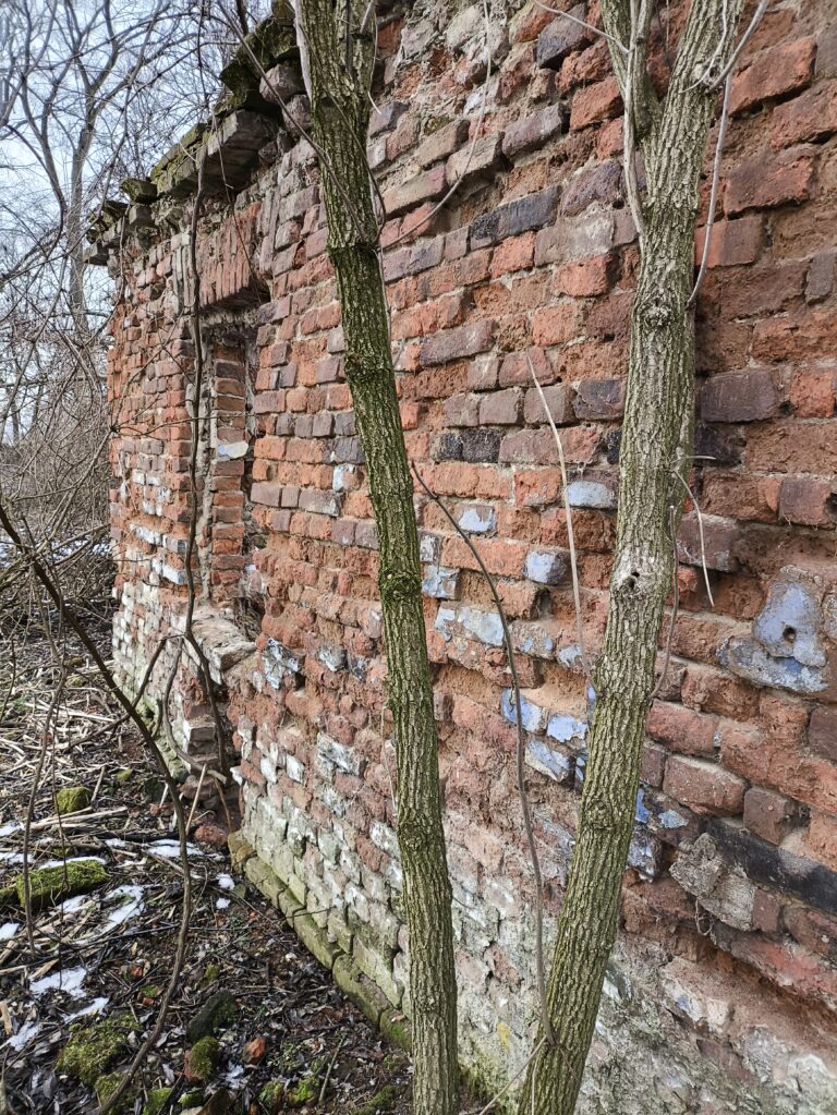 Ruiny domu, Oświęcim, województwo małopolskie - zdjęcie 1