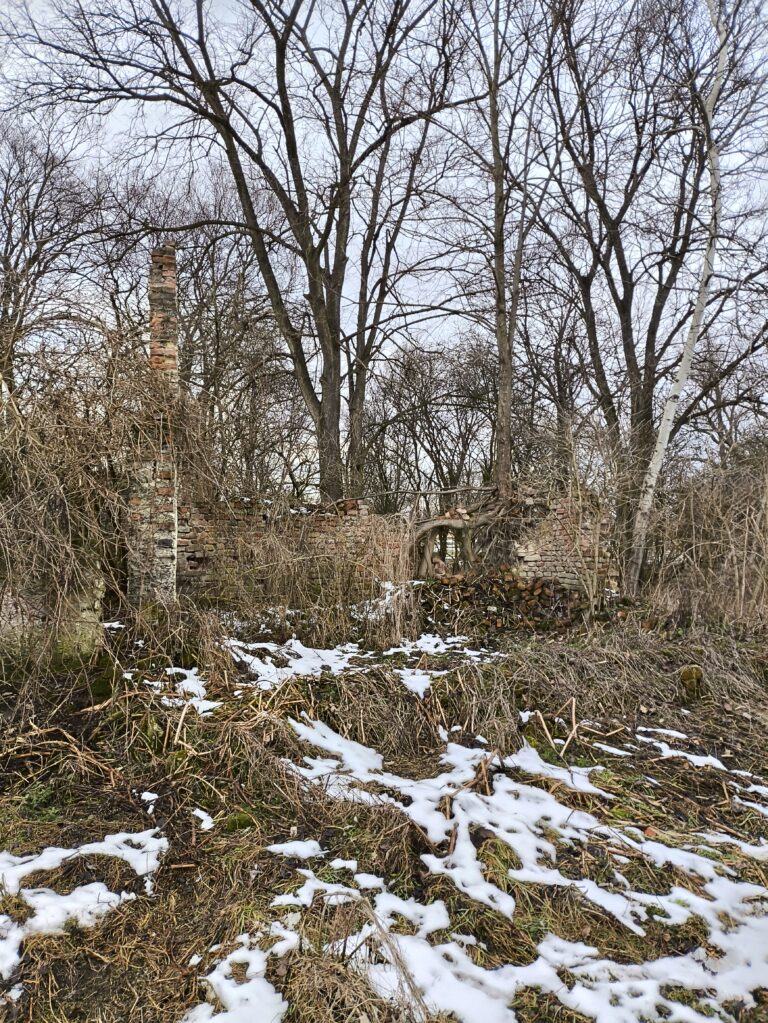 Ruiny domu, Oświęcim, województwo małopolskie - zdjęcie 4