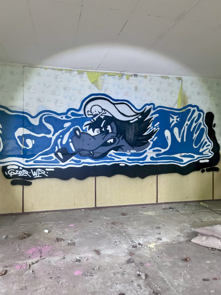 Opuszczony ośrodek Kolonijny, Kule, województwo śląskie - relacja z 06.2025, zdjęcie 48