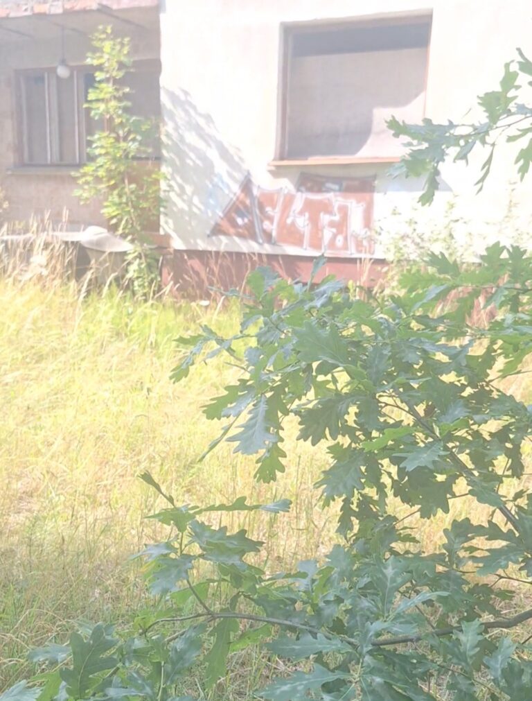 Opuszczone Stare Gospodarstwo Rolne, Stefanówka, województwo mazowieckie - zdjęcie z relacji 2