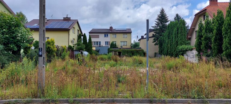 Opuszczony dom, Siedlce, województwo mazowieckie - relacja z 07.2025, zdjęcie 2