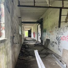 Wylęgarnia Kurczaków Kalisz
