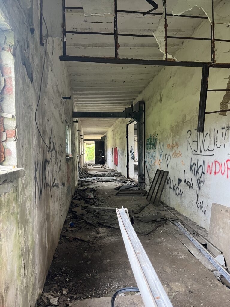 Wylęgarnia Kurczaków, Kalisz, województwo wielkopolskie - relacja z 08.2025, zdjęcie 5