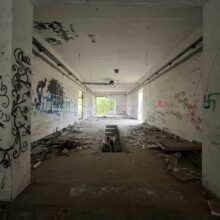 Wylęgarnia Kurczaków Kalisz