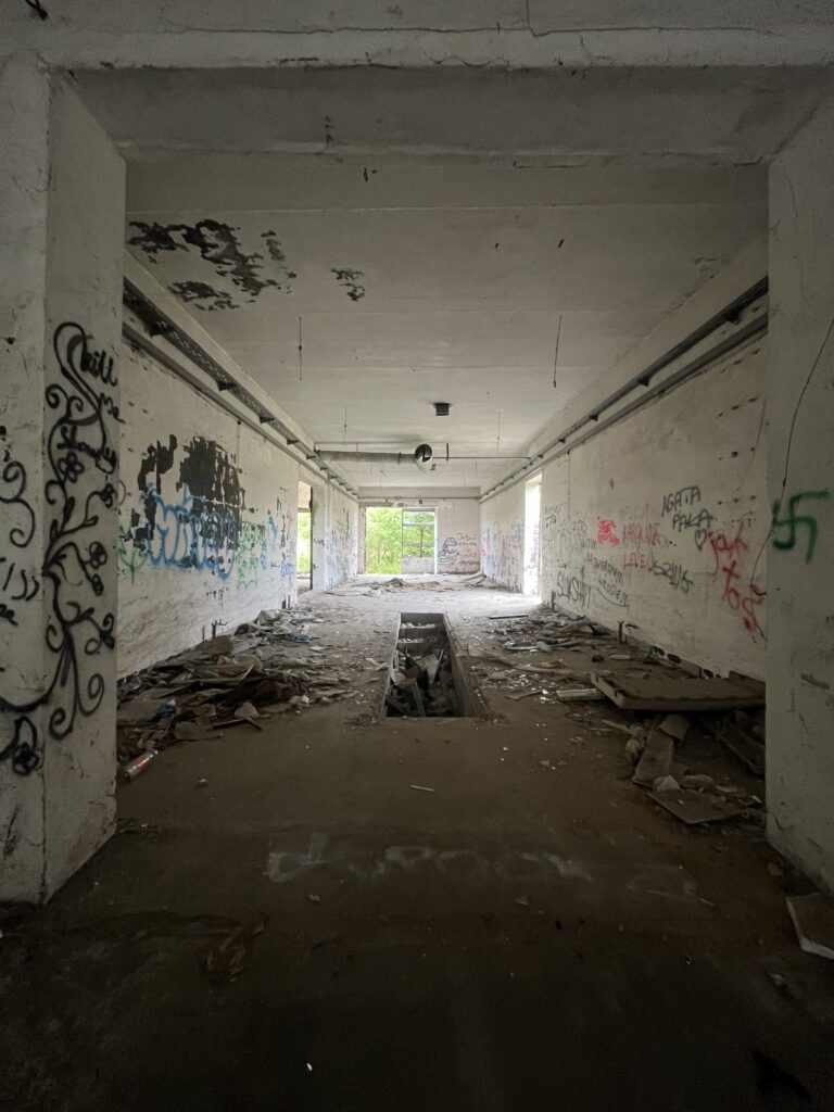 Wylęgarnia Kurczaków, Kalisz, województwo wielkopolskie - relacja z 08.2025, zdjęcie 6