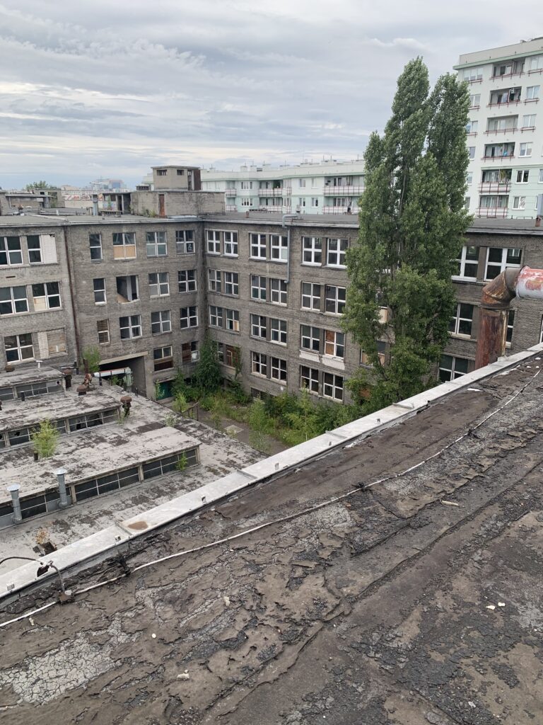 Porzucona Fabryka Mokotów, Warszawa, województwo mazowieckie - relacja z 08.2025, zdjęcie 11
