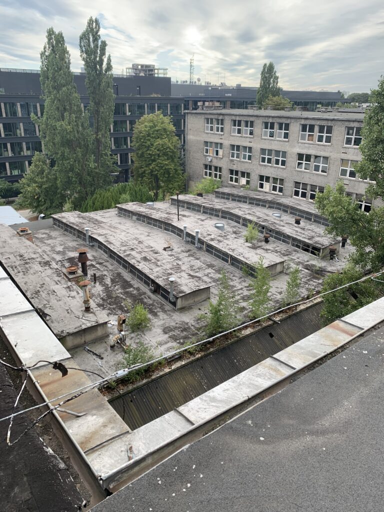Porzucona Fabryka Mokotów, Warszawa, województwo mazowieckie - relacja z 08.2025, zdjęcie 18