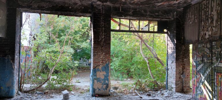 Warsztat samochodwoy, Warszawa, województwo mazowieckie - zdjęcie 1