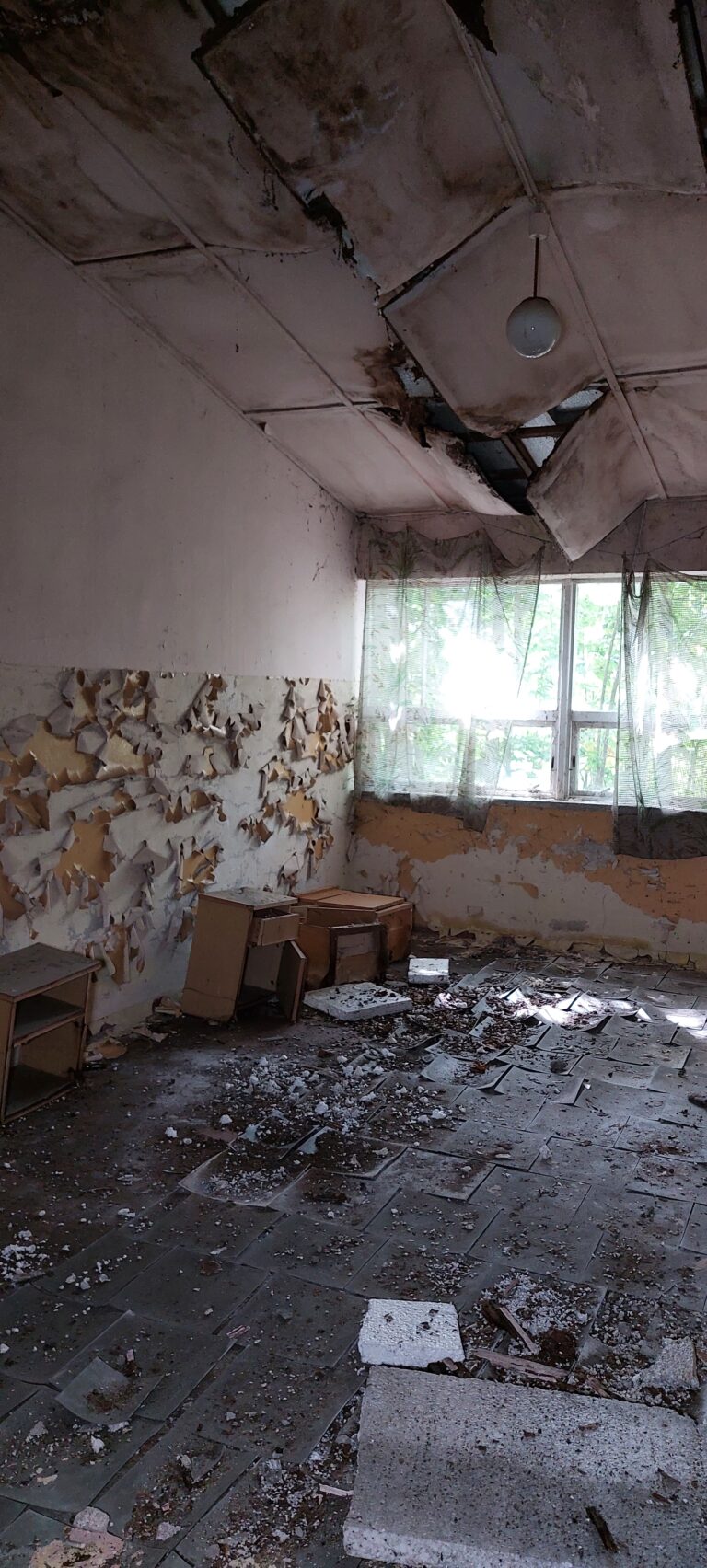 Kolonie w Justynowie, Hulanka, województwo łódzkie - relacja z 08.2025, zdjęcie 12
