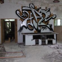 Kolonie w Justynowie Hulanka