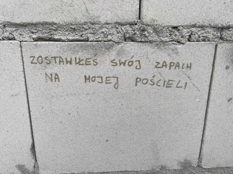 Niedokończona budowa budynku, Chojniczki, województwo pomorskie - zdjęcie 2
