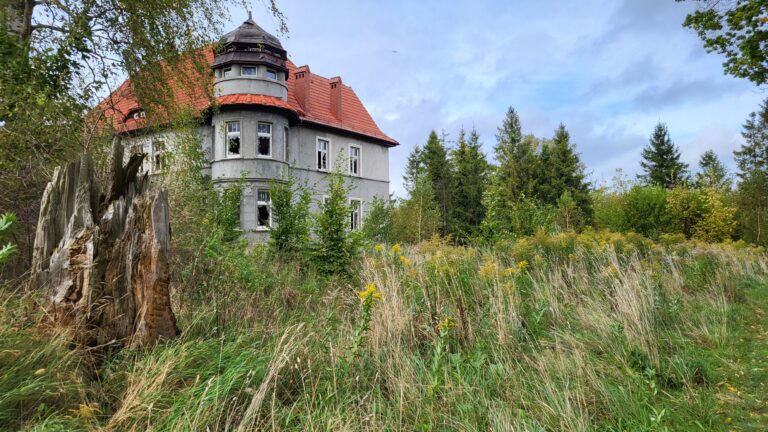 Pałac w Małkowie, Małkowo, województwo pomorskie - relacja z 10.2025, zdjęcie 13