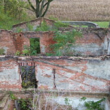 Ruiny pałacu w Janowicach Janowice