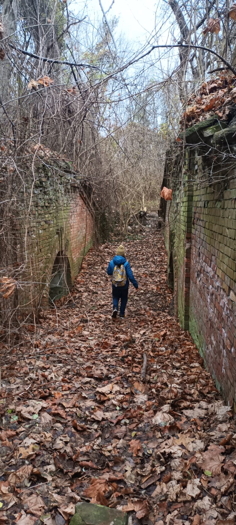 Zaplecze Fort Mokotów, Warszawa, województwo mazowieckie - zdjęcie 6