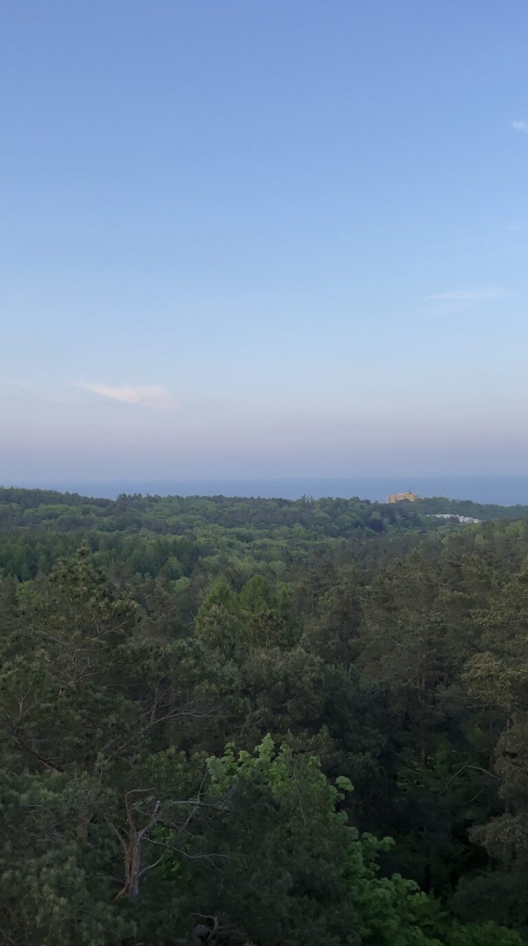 Wieża radiowa Rysie Wzgórze, Sopot, Sopot, województwo pomorskie - zdjęcie 2