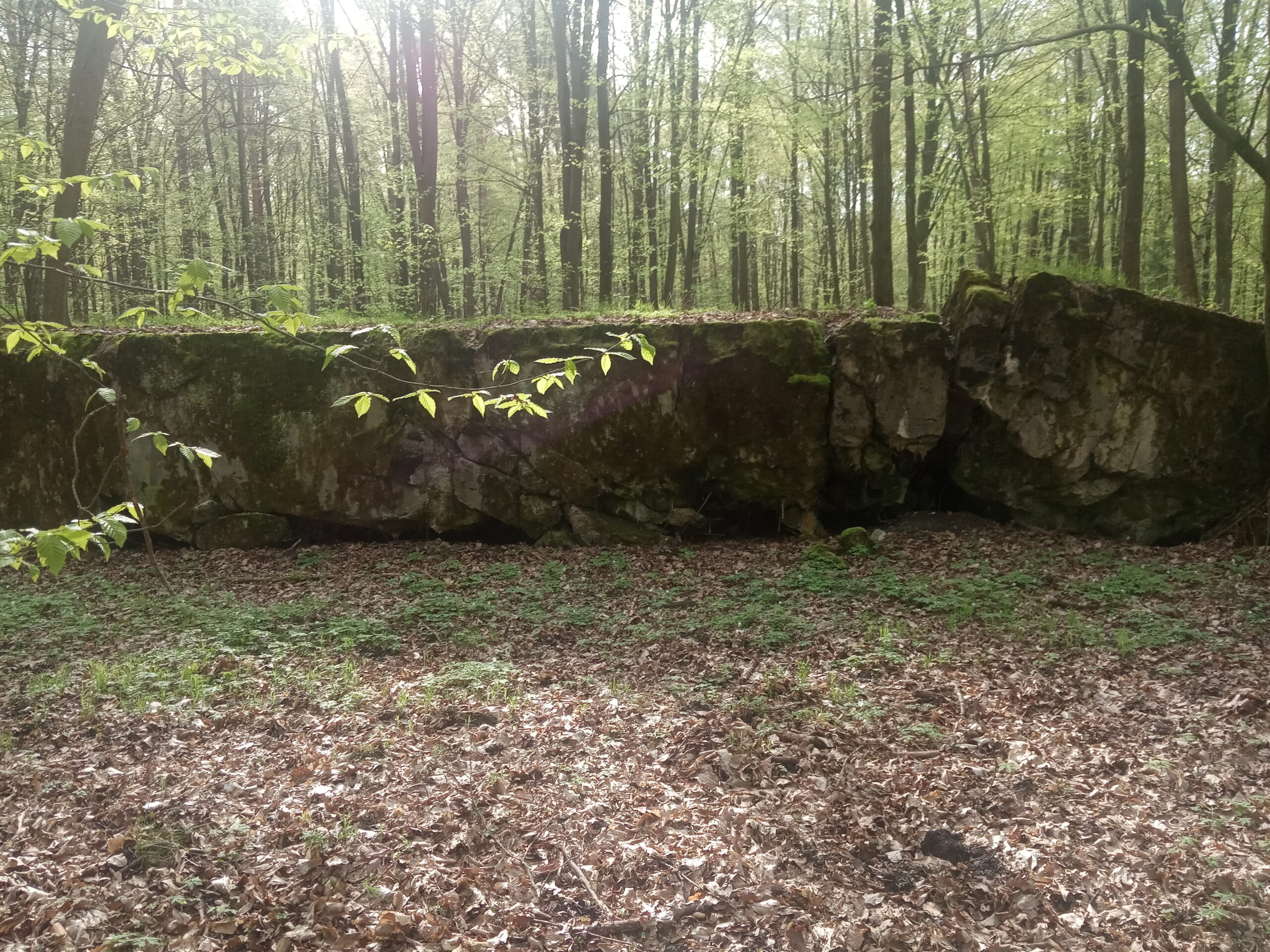 poniemieckie bunkry, Kruszewiec, łódzkie — zdjęcie 2
