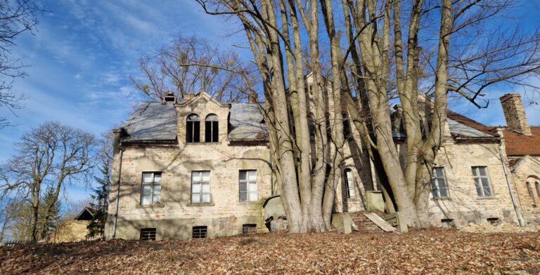 Stary pałac i budynki w Słonowie, Słonów, województwo lubuskie - relacja z 03.2026, zdjęcie 3
