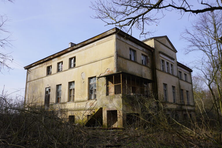 Pałac w lasku, Wierzchucinek, województwo kujawsko-pomorskie - relacja z 02.2026, zdjęcie 30