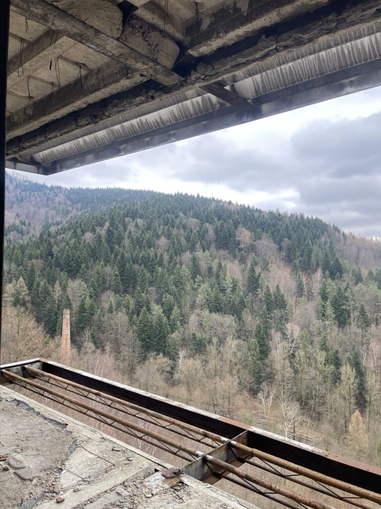 Stalownik, Bielsko-Biała, województwo śląskie - relacja z 02.2026, zdjęcie 84