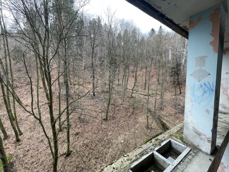 Stalownik, Bielsko-Biała, województwo śląskie - relacja z 02.2026, zdjęcie 85