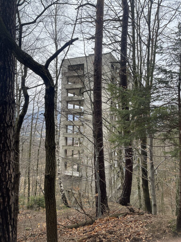 Stalownik, Bielsko-Biała, województwo śląskie - relacja z 02.2026, zdjęcie 87