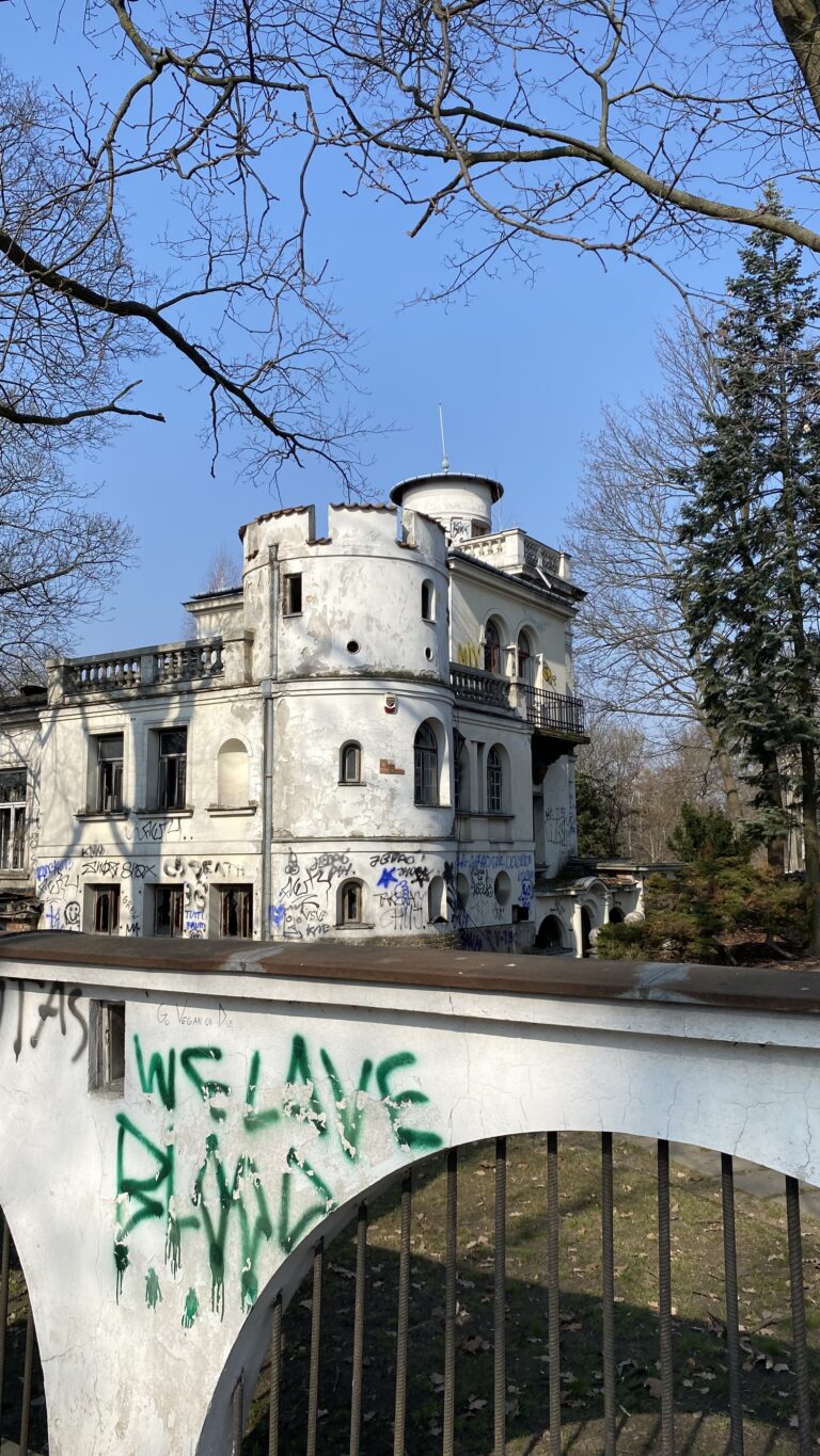 Restauracja Baszta, Warszawa, województwo mazowieckie - relacja z 03.2026, zdjęcie 15