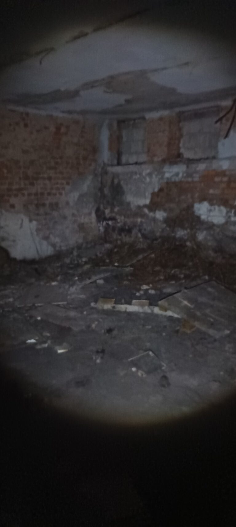 FIRMA PRIM, Lublin, województwo lubelskie - relacja z 03.2026, zdjęcie 10