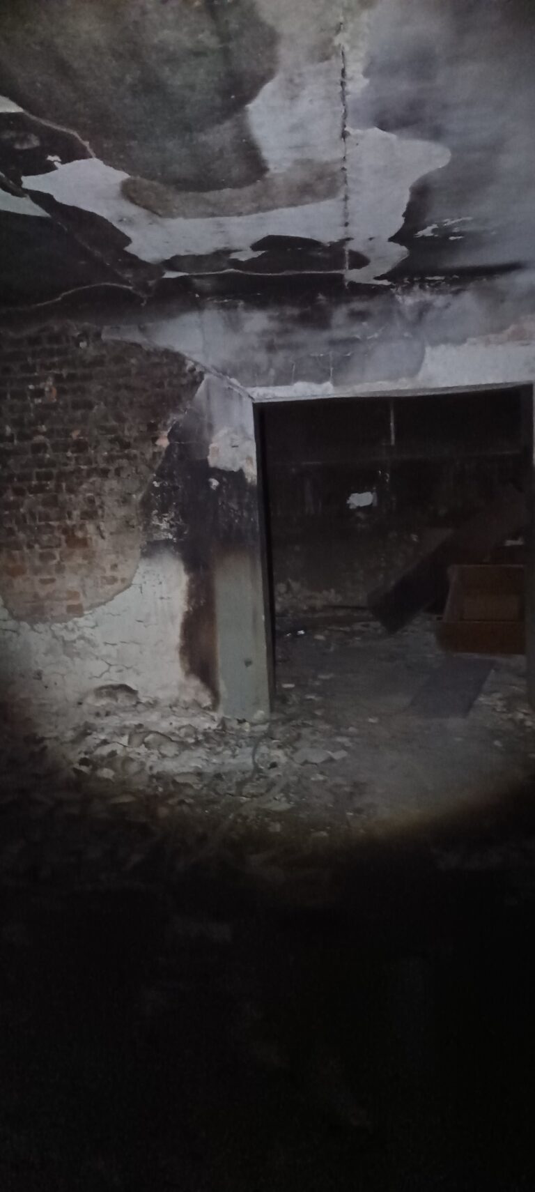 FIRMA PRIM, Lublin, województwo lubelskie - relacja z 03.2026, zdjęcie 11