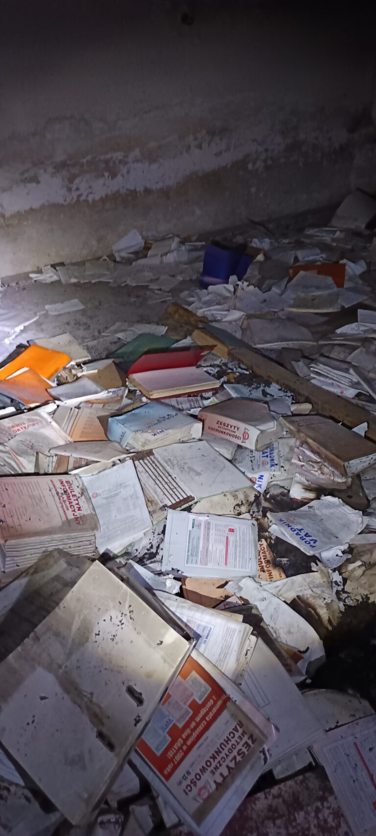 FIRMA PRIM, Lublin, województwo lubelskie - relacja z 03.2026, zdjęcie 13