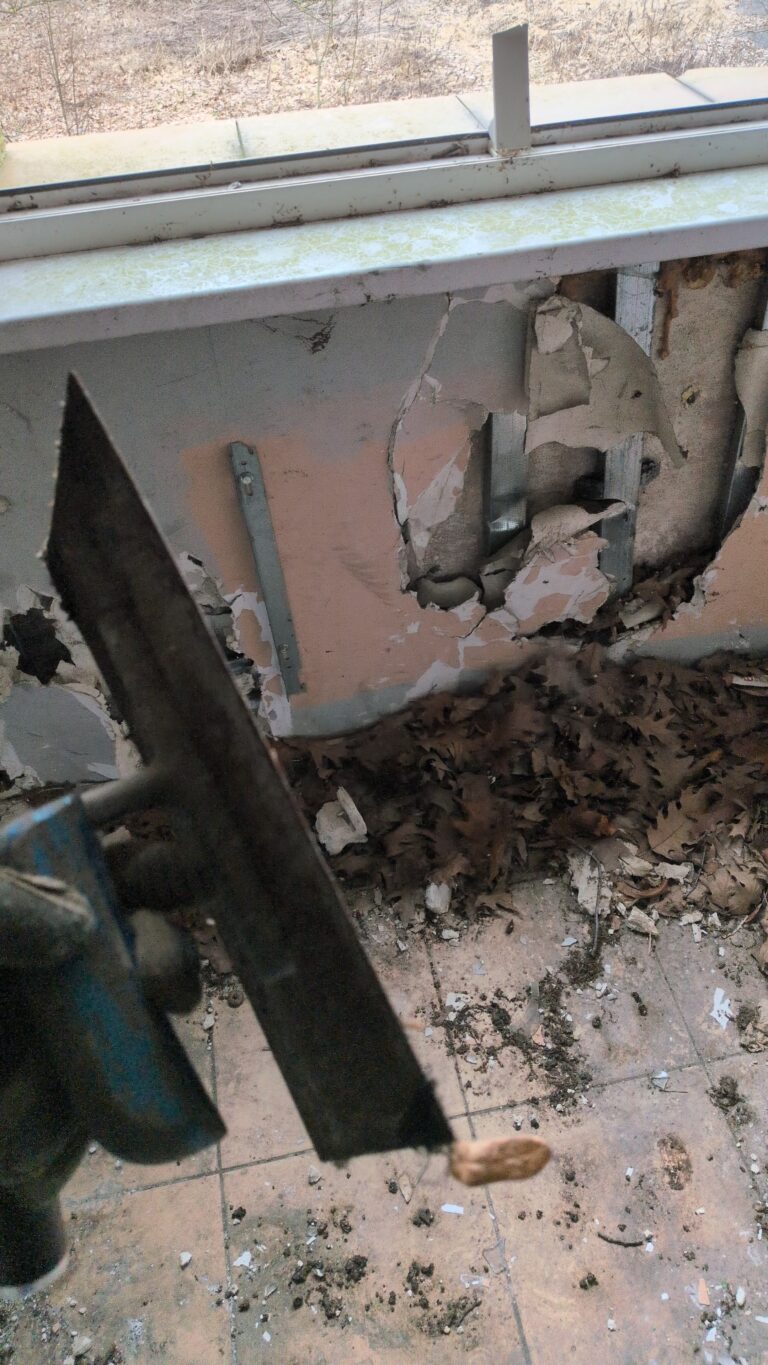 Opuszczone budynki techbud, Osielsko, województwo kujawsko-pomorskie - zdjęcie 3