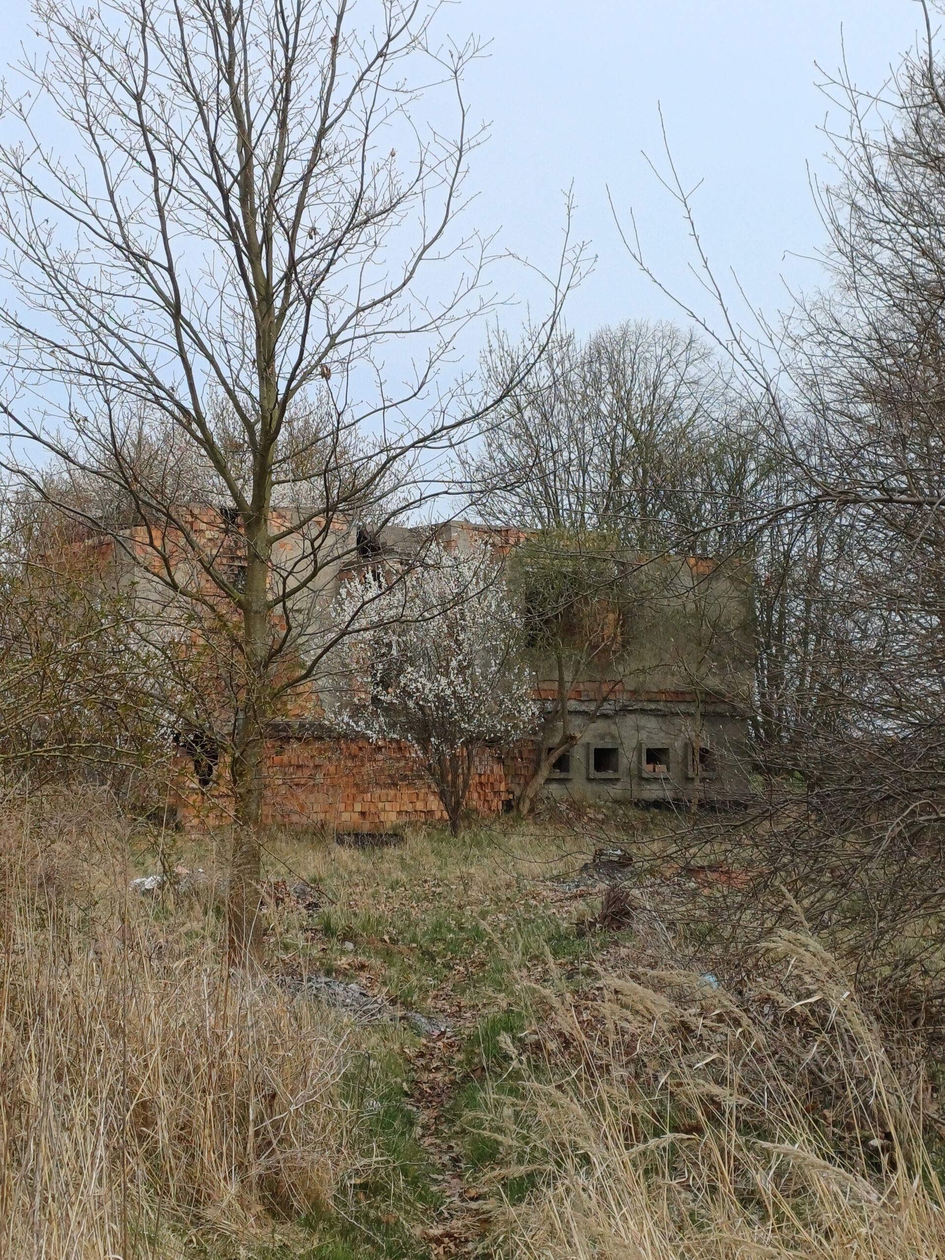 Opuszczony dom Gorzów Wielkopolski