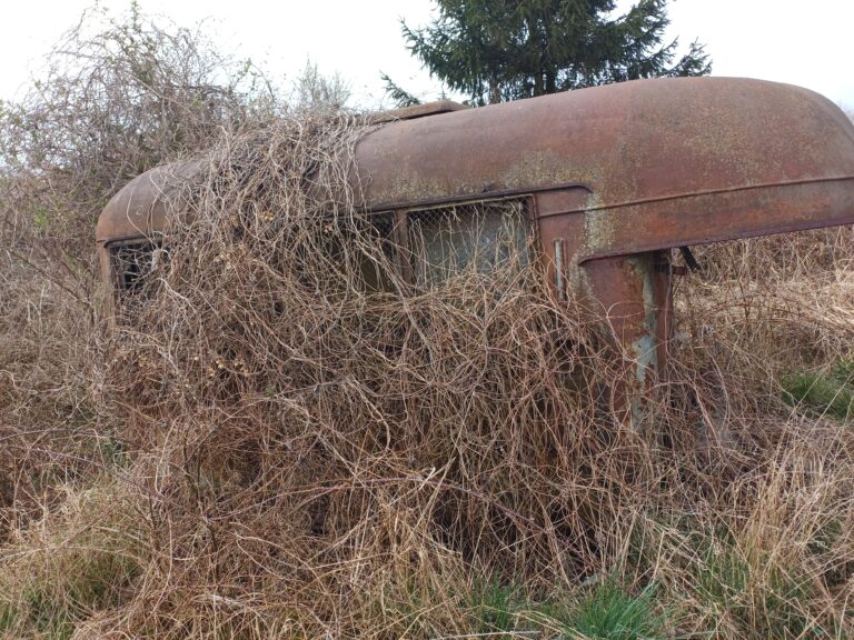 Budynek, Gorzów Wielkopolski, województwo lubuskie - zdjęcie 9