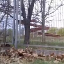 Basen kukoczyce Wrocław