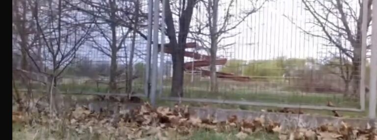 Basen kukoczyce, Wrocław, województwo dolnośląskie - zdjęcie 2