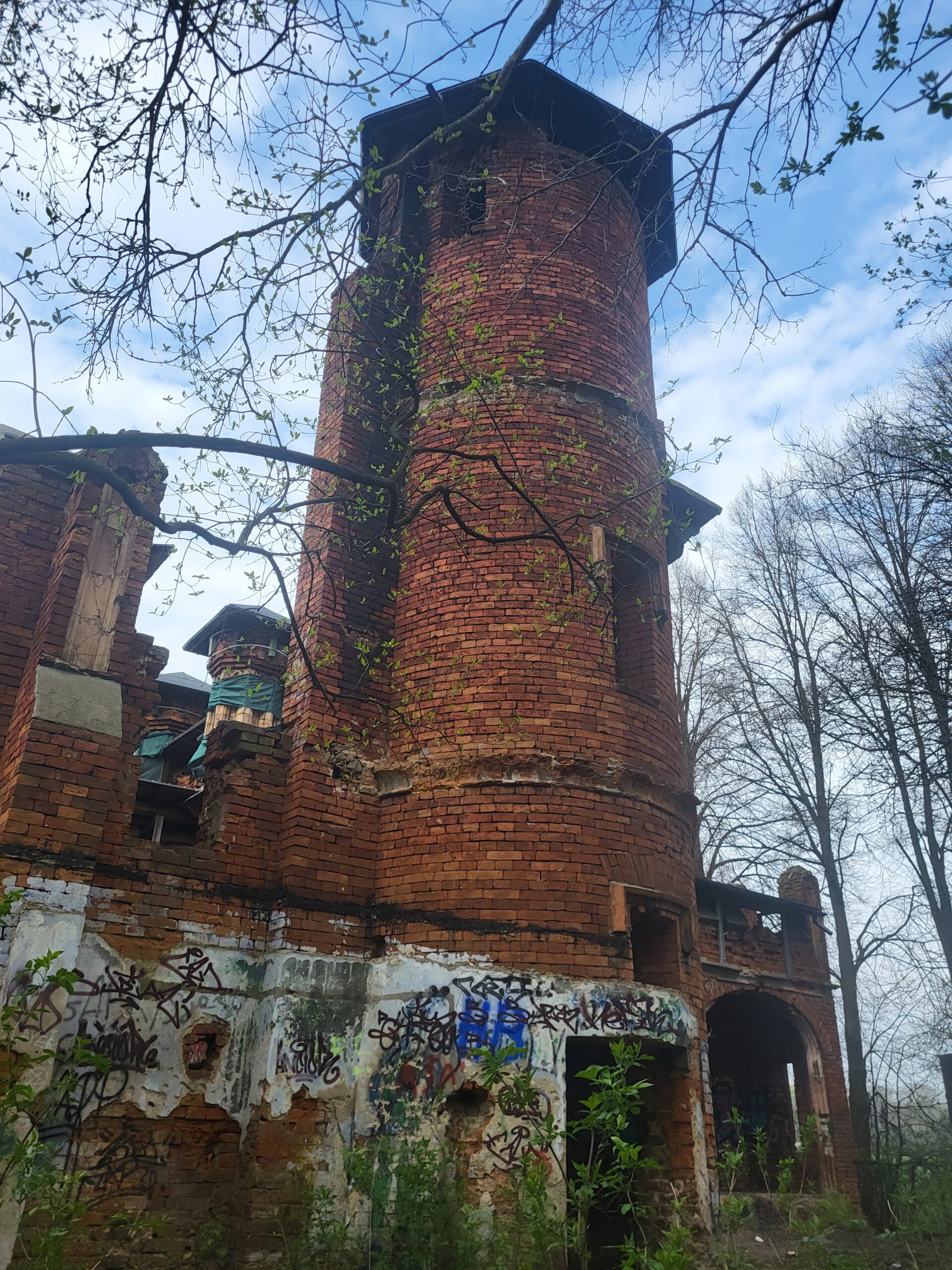 Ruiny negotyckiej bramy, Warszawa, województwo mazowieckie