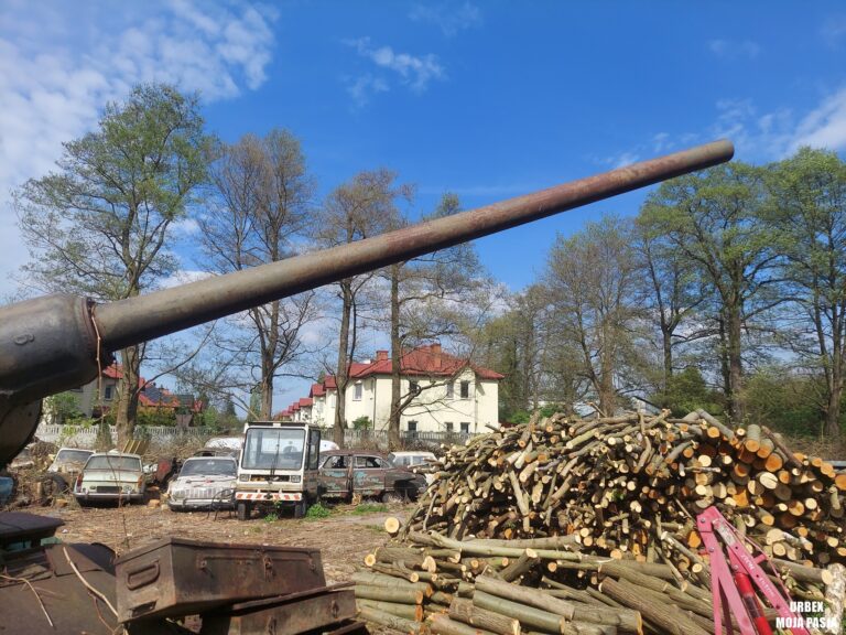 Cmentarzysko Tadeusza Tabenckiego, Grodzisk Mazowiecki, województwo mazowieckie - relacja z 04.2026, zdjęcie 8
