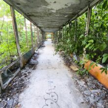 Okrąglaki – Dawny ośrodek wypoczynkowy w Miałkówku Miałkówek