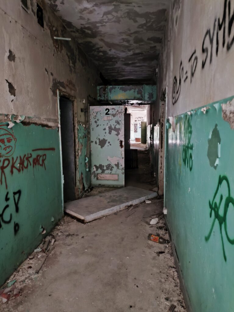 Okrąglaki – Dawny ośrodek wypoczynkowy w Miałkówku, Miałkówek, województwo mazowieckie - zdjęcie 7