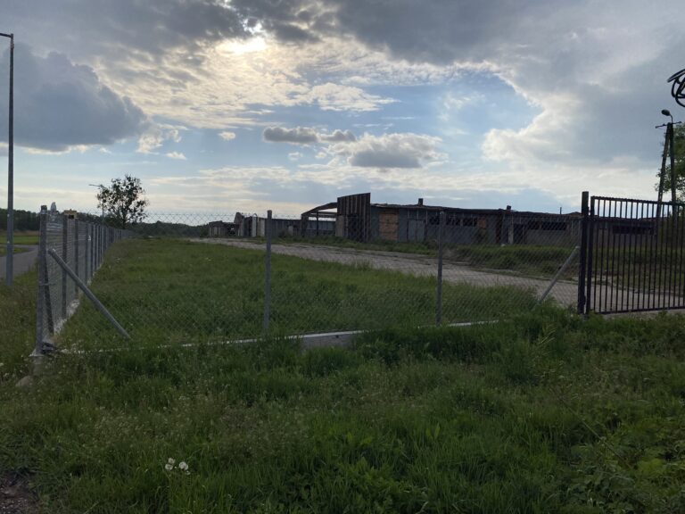 Gospodarstwo z halami, Mała Nieszawka, województwo kujawsko-pomorskie - zdjęcie z relacji 5