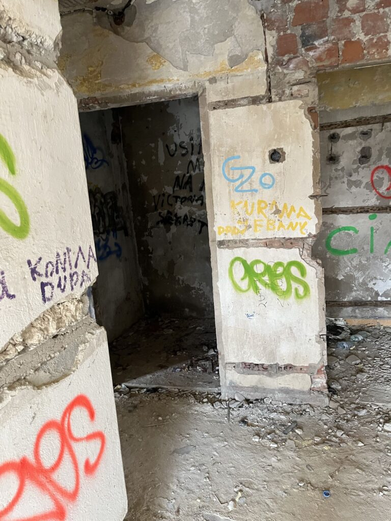Ruiny domu na kiedrzynie, Częstochowa, województwo śląskie - zdjęcie 1