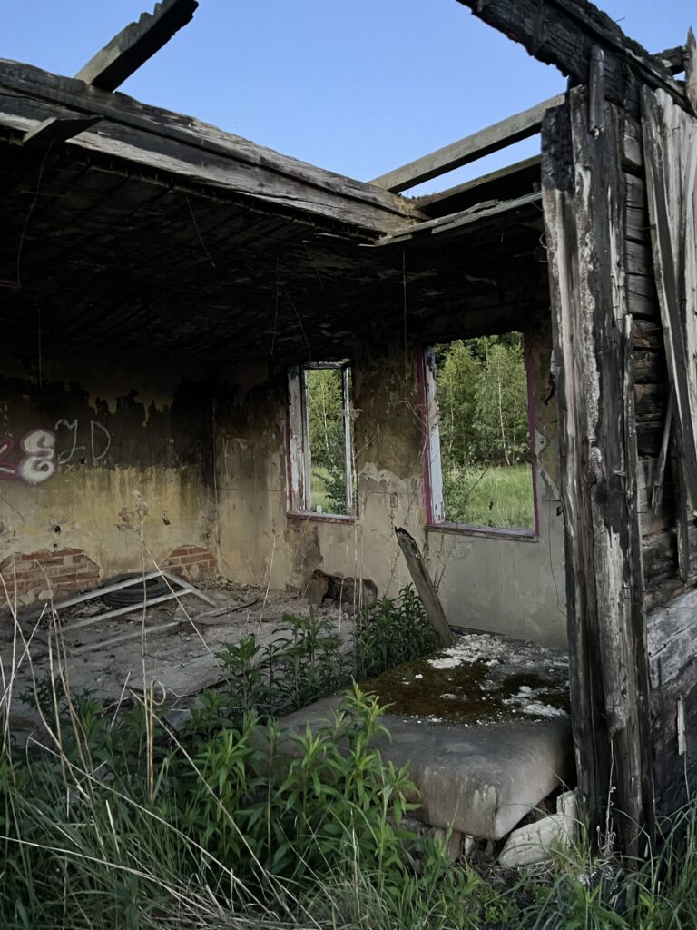 resztki spalonego gospodarstwa, Częstochowa, województwo śląskie - zdjęcie 2