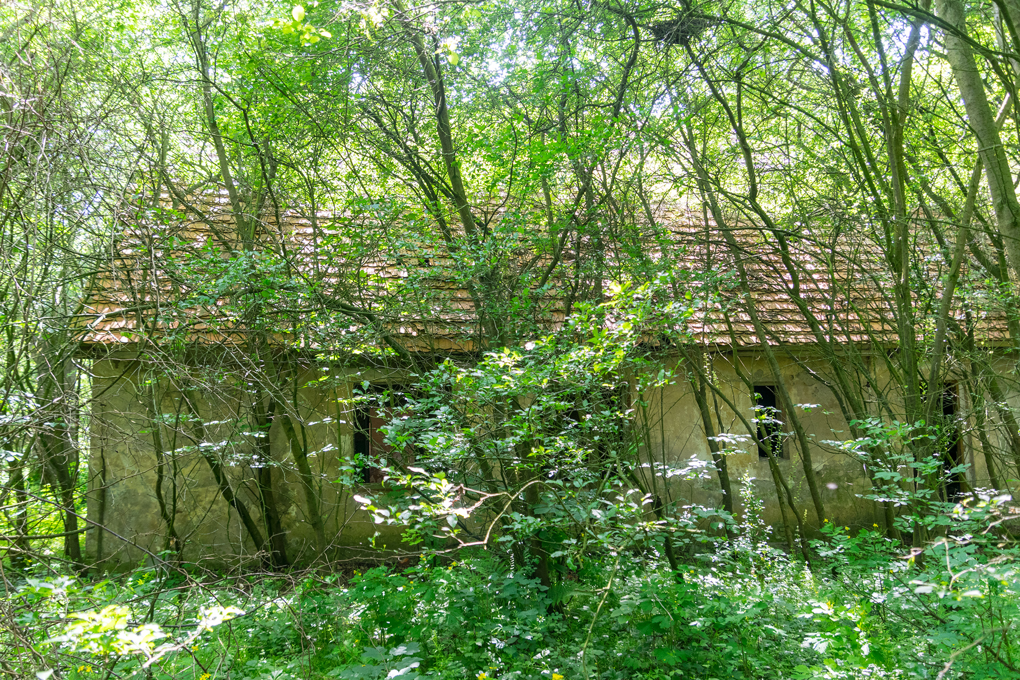 Dwór Malczewo. Malczewo