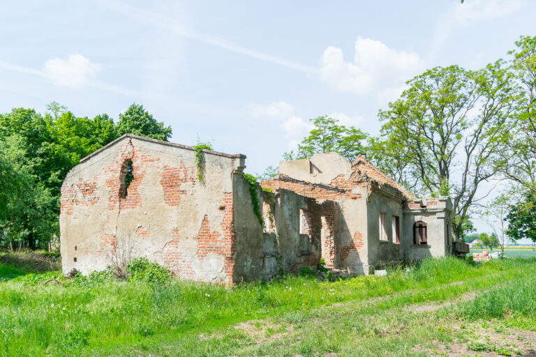 Dwór Golimowo., Golimowo, województwo wielkopolskie - zdjęcie 3