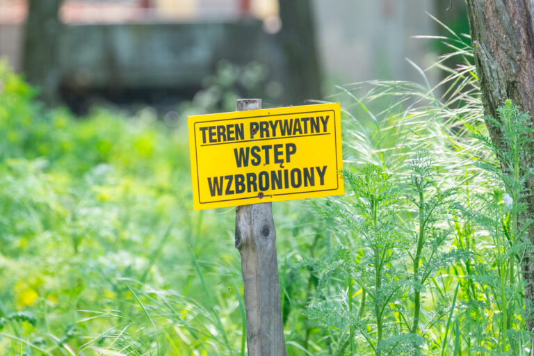 Dwór Golimowo., Golimowo, województwo wielkopolskie - zdjęcie 5